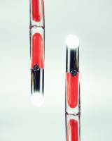 Yesmine ABED - Celestudio